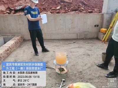宜賓市翠屏區(qū)農(nóng)村供水保障提升工程（一期）項(xiàng)目（雙誼水廠）